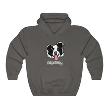 Load image into Gallery viewer, Charcoal Hoodie with DillieDally Logo
