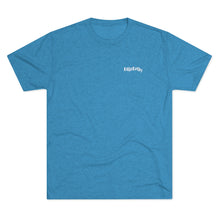 Load image into Gallery viewer, Teal T Shirt with DillieDally Logo